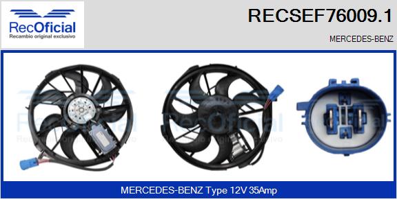 RECSEF76009.1