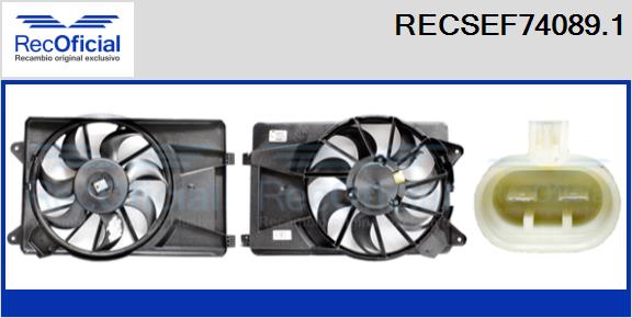 RECSEF74089.1