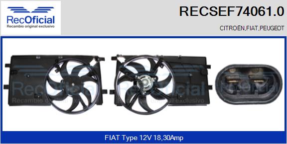 RECSEF74061.0