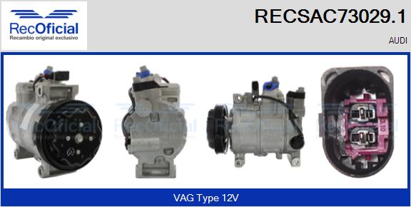 RECSAC73029.1