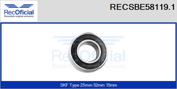 RECSBE58119.1