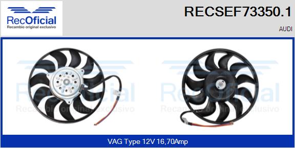 RECSEF73350.1