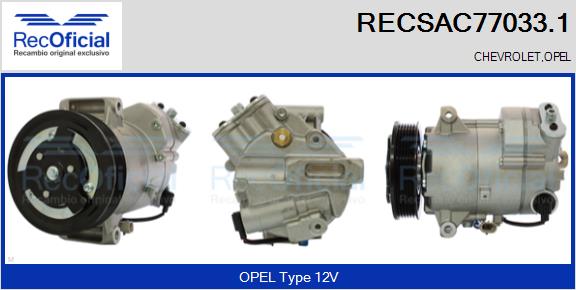 RECSAC77033.1