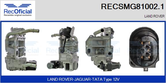 RECSMG81002.1