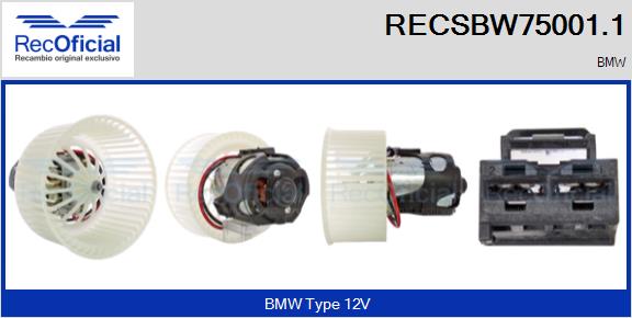 RECSBW75001.1