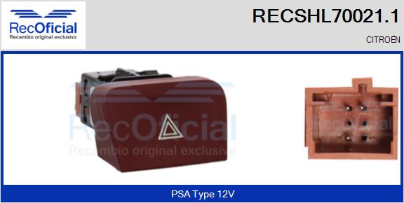 RECSHL70021.1