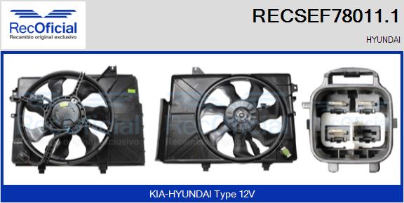 RECSEF78011.1