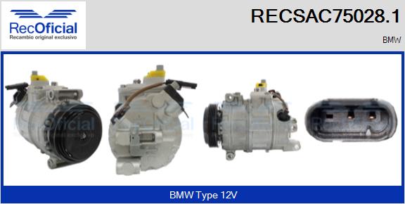 RECSAC75028.1