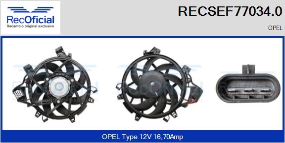 RECSEF77034.0