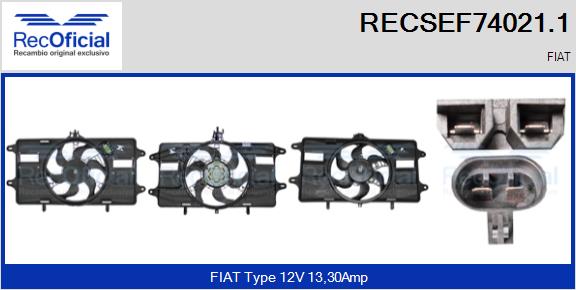 RECSEF74021.1
