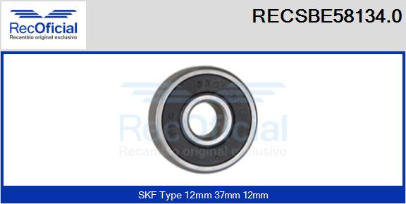 RECSBE58134.0