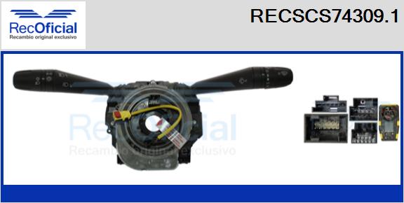RECSCS74309.1