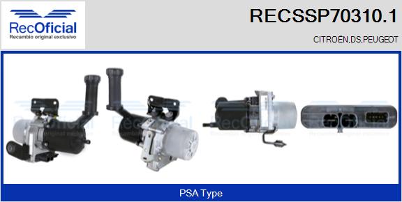RECSSP70310.1