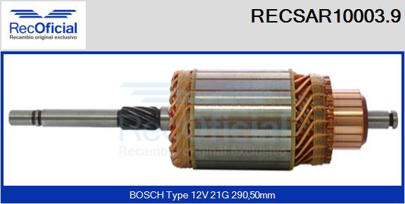 RECSAR10003.9