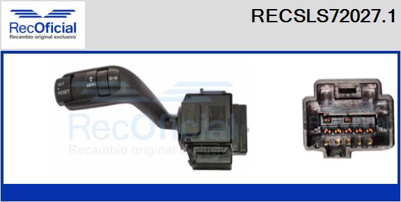 RECSLS72027.1