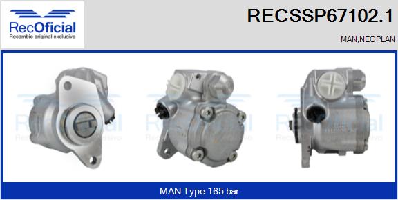 RECSSP67102.1