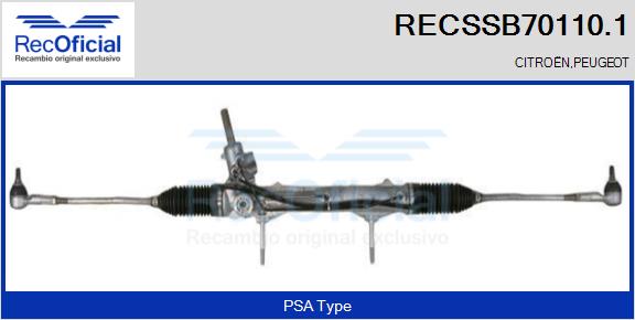 RECSSB70110.1