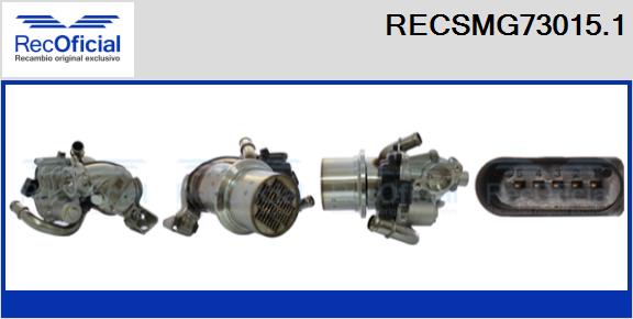 RECSMG73015.1