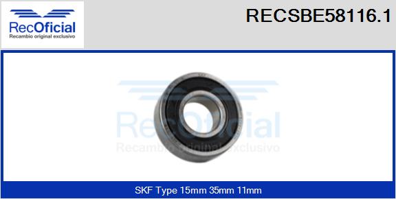 RECSBE58116.1