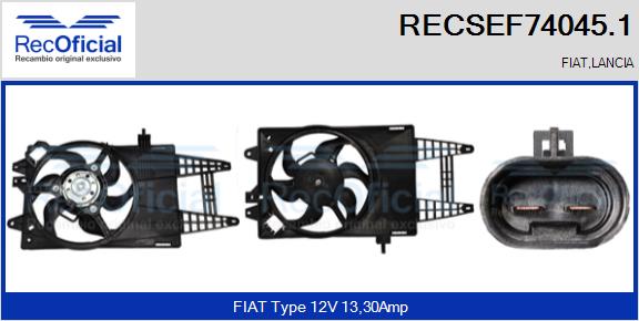 RECSEF74045.1