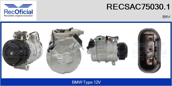 RECSAC75030.1