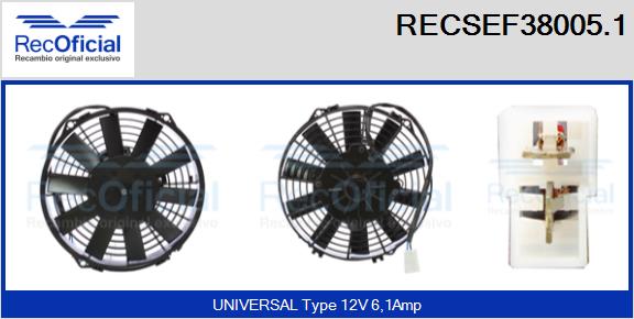 RECSEF38005.1