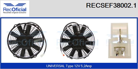 RECSEF38002.1