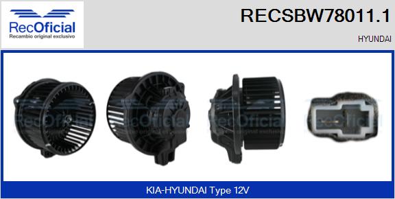 RECSBW78011.1
