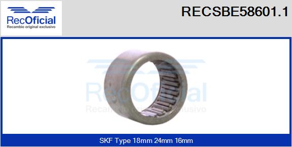 RECSBE58601.1