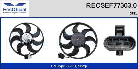 RECSEF77303.0