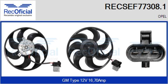 RECSEF77308.1