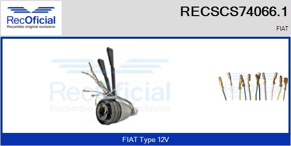 RECSCS74066.1