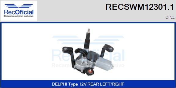 RECSWM12301.1