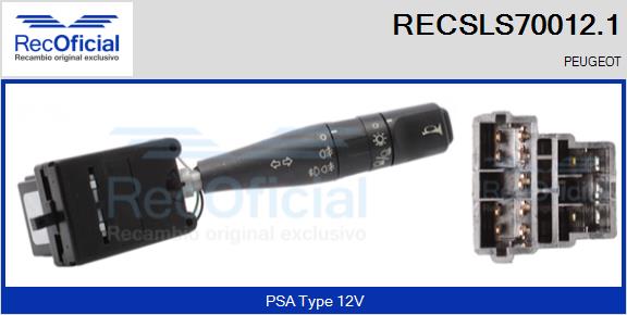 RECSLS70012.1