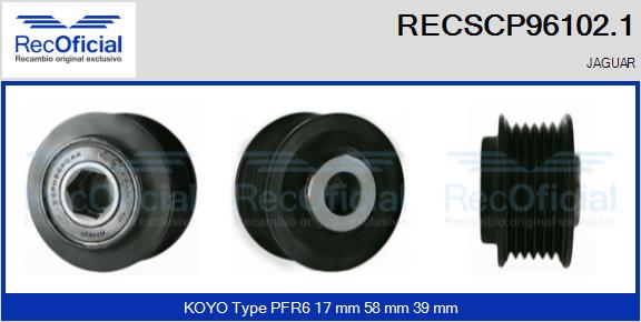 RECSCP96102.1