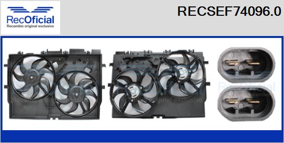 RECSEF74096.0