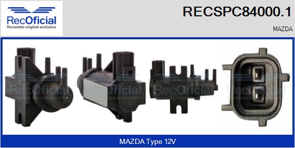 RECSPC84000.1