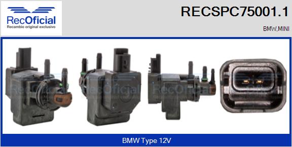RECSPC75001.1