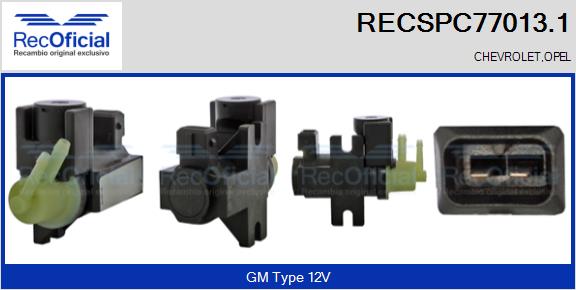 RECSPC77013.1