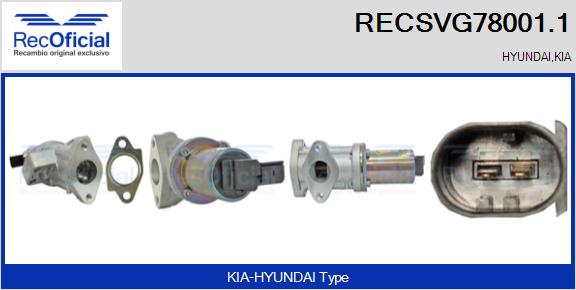 RECSVG78001.1