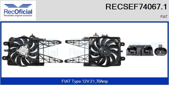 RECSEF74067.1