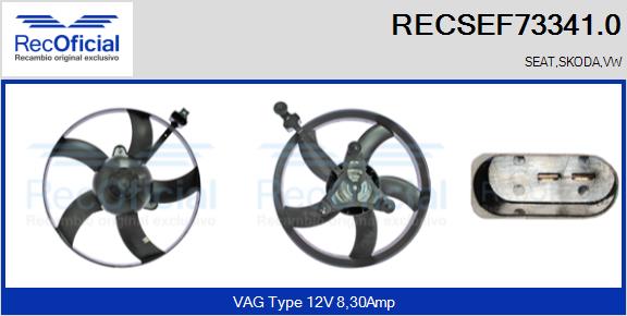 RECSEF73341.0