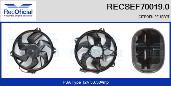 RECSEF70019.0