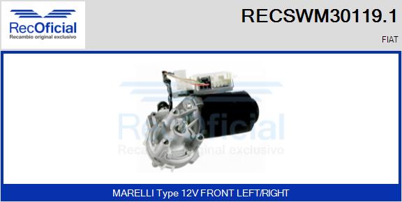 RECSWM30119.1