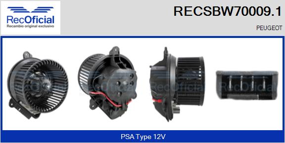 RECSBW70009.1