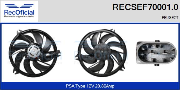 RECSEF70001.0