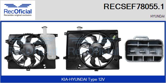 RECSEF78055.1