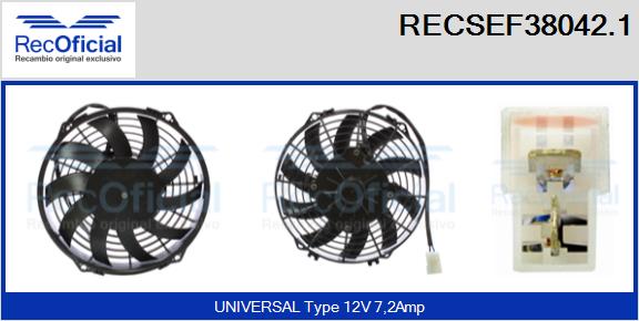 RECSEF38042.1