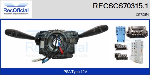 RECSCS70315.1