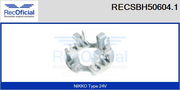RECSBH50604.1